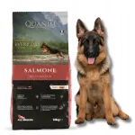 Kuiv koeratoit QUANIM SALMON RICE FISH 12kg