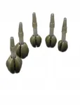 S&ouml;&ouml;tja Feeder Bomb QTS 20 g, 1 tk