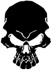 Kleebis autole, mootorrattale v&otilde;i kiivrile SKULL, 15 x 11,1 cm, l&auml;bipaistev taust