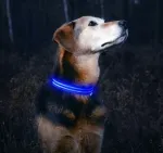 LED-valgustusega sinine koera kaelarihm, suurus M