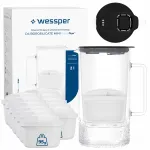 Veefiltri kann Wessper D4 BOROSILICATE MINI FF BK 12 filtriga