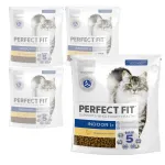 Kuiv kassitoit Perfect Fit Indoor 1+ kanaga, 4 x 750 g, koduloomadele