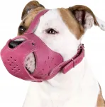 Nahast reguleeritav kuulik koertele PITBULL, AMSTAFF, suurus M/L, CollarDirect