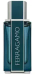 L&otilde;hnavesi Ferragamo Intense Leather 50 ml