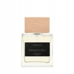Meeste parf&uuml;&uuml;m PROUVE INFINITY FORCE 100 ml