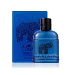 Meeste parf&uuml;&uuml;mvesi FOREST TRIBE 100 ml