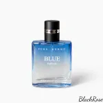 Meeste parf&uuml;&uuml;mid BlackRose Pure Homme, 30 ml, EDP, tsitruselised-v&uuml;rtsikad