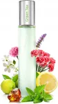 Naiste parf&uuml;&uuml;m Neness Green Tea No. 120 tsitruseline, 33 ml