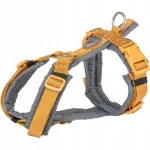 Koera rakmed Trixie Premium, kollakashallid, S-M, 36&ndash;44 cm, 15 mm