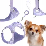 Koerte rihmad TRUELOVE ULTRALIGHT koos jalutusrihmaga, hingavad, lillad, suurus 3XS