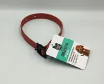 Veekindel koera kaelarihm Activ Pet, suurus S, 35 cm
