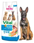 Koeratoit Gold Dog Vital Salmon, 12 kg, forelli ja riisiga, liigestele
