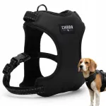 Loomade rakmed Chaba Guard Comfort S, mustad, peegeldustega