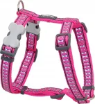 Koera kaelarihm Red Dingo, helkiv, &bdquo;Bones Hot Pink&ldquo;, 12 mm x 30&ndash;44 cm
