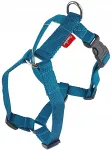 Reguleeritavad sinised CHAMPION rakmed v&auml;ikesele koerale, 30 cm