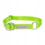 Koera kaelarihm Amiplay Samba, roheline, XL, 40&ndash;60 cm x 2,5 cm