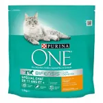 Kuiv kana toit kassidele PURINA ONE Senior 11+, 1,5 kg