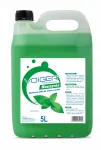 VOIGER m&uuml;ndirohelise v&auml;rvusega n&otilde;udepesuvahend, 5 l