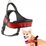 Suured koerte rakmed TRE PONTI, punased, XL (70&ndash;90 cm)