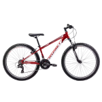 Noorte jalgratas ROMET Rambler R6.1 (2024) 26" 14" S, punane-valge