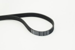 CONTINENTAL CTAM 6PK1733 Soonrihm