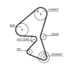 GATES 5598XS Hammasrihm