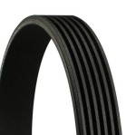 CONTINENTAL CTAM 6PK1720 Soonrihm