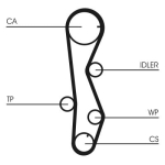 CONTINENTAL CTAM CT1099WP1 Veepump + hammasrihmakomplekt