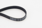 CONTINENTAL CTAM 6PK1061 EXTRA Soonrihm
