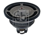 FEBI BILSTEIN 44162 Termostaat,Jahutusvedelik