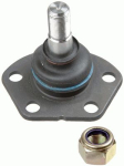 LEMF&Ouml;RDER 24539 01 Kande-/juhtliigend
