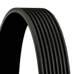 CONTINENTAL CTAM 8PK1275 Soonrihm