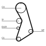 CONTINENTAL CTAM CT909WP2 Veepump + hammasrihmakomplekt