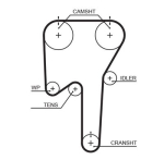 GATES 5533XS Hammasrihm