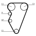 CONTINENTAL CTAM CT929 Hammasrihm