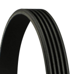 CONTINENTAL CTAM 5PK1815 Soonrihm