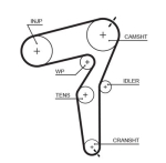 GATES 5650XS Hammasrihm