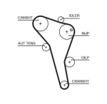 GATES 5622XS Hammasrihm