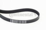 CONTINENTAL CTAM 6PK1306 Soonrihm