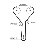 GATES 5487XS Hammasrihm