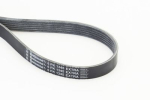 CONTINENTAL CTAM 6PK1345EXTRA Soonrihm
