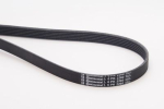 CONTINENTAL CTAM 6PK2260 Soonrihm