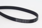 CONTINENTAL CTAM 6PK2271 Soonrihm