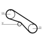 CONTINENTAL CTAM CT1082 Hammasrihm