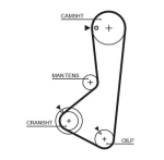GATES 5256XS Hammasrihm