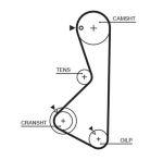 GATES 5075XS Hammasrihm