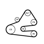 CONTINENTAL CTAM 6PK1613K1 Soonrihmakomplekt