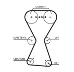 GATES 5255XS Hammasrihm