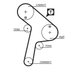 GATES 5471XS Hammasrihm