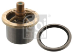 FEBI BILSTEIN 47774 Termostaat,Jahutusvedelik